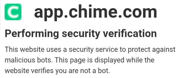 Security verification